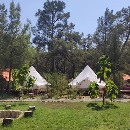 Кемпинг Kunduz Kamp *